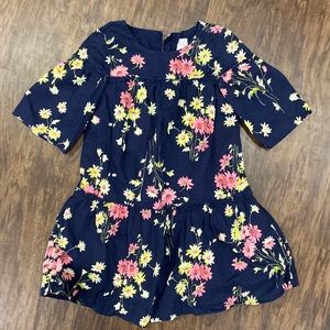 Baby Gap 4 toddler spring dress